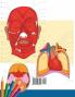 Neuroanatomy + Anatomy and Physiology Coloring Book