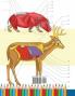Zoology Coloring Book