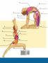 Yoga Anatomie-Malbuch