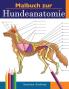 Malbuch zur Hundeanatomie