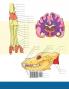 Malbuch zur Hundeanatomie