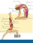 Libro Para Colorear de la Anatomía del Yoga: 3-en-1 Compilación | Más de 150 Ejercicios de Colores con Posturas de Yoga Para Principiantes, Intermedios y Expertos muy Detallados (Spanish Edition)