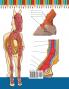 Libro para colorear de Anatomía del Caballo: Libro de Colores de Autoevaluación muy Detallado de la Anatomía Equina | El Regalo Perfecto Para ... de los Caballos y Adultos (Spanish Edition)