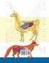 Libro Para Colorear de Veterinaria & Zoología: 2-en-1 Compilación | Libro de Colores de Anatomía Animal de Autoevaluación Muy Detallado | El Regalo ... y Amantes de los Animales (Spanish Edition)