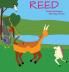 Reed