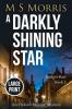 A Darkly Shining Star (Large Print): An Oxford Murder Mystery: 5 (Bridget Hart)