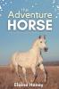 The Adventure Horse - Book 5 in the Connemara Horse Adventure Series for Kids