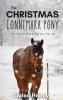 The Christmas Connemara Pony - The Coral Cove Horses Series