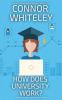 How Does University Work?