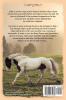 In Search Of Peace: A Prequel to The Horses Know Trilogy