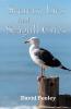 Secrets Lies and Seagull Cries