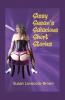 Sissy Susan's Salacious Short  Stories