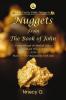 Nuggets from the book of John