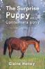 The Surprise Puppy and the Connemara Pony - Dyslexia Friendly