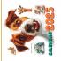 Calendar 2025