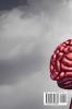 Mental Toughness: 6 Steps to Build the Strongest Mindset for Life and Become Totally Unstoppable! +7 Day Mental Toughness Challenge and Assertiveness Training. Master Self Discipline!