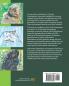 Conservation Collection AU - Critically Endangered: Mammals: 1
