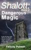 Shalott: Dangerous Magic: 2 (Shalott Trilogy)