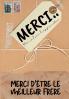 Merci D'Être Le Meilleur Frère: Mon Cadeau D'Appréciation: Livre-Cadeau En Couleurs Questions Guidées 6,61 X 9,61 Pouces (French Edition)
