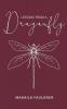 Lessons From A Dragonfly