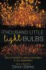 A Thousand Little Lightbulbs: How to Kickstart a Culture of Innovation in Your Organisation