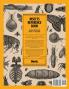 Insects Reference Book