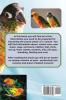 Conures as Pets - Including Information about Sun Conures and Green-Cheeked Conures