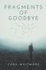 Fragments of Goodbye