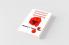 Essentials of Premarital Counseling