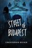 Street of Budapest