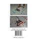 Stem by Design: Teaching with Lego Mindstorms Ev3