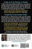 The Earth Constitution Solution