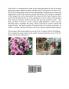 Photographer's Guide to the Sony RX100 III