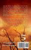 Lost: A Harp Security Novel