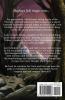 Sword's Call: The King's Riders Book One