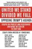 United We Stand Divided We Fall: Opposing Trump's Agenda: Essays On Protest And Resistance And What We Can Do To Stop Him