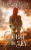 Choose the Sky: 2 (Swordcross Knights)