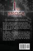 1st Shock (Schock Sisters Mystery)