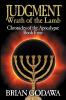 Judgment: Wrath of the Lamb: 4 (Chronicles of the Apocalypse)