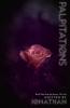 Palpitations (The Nine Series Book 9)