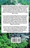 The Maya: The Story of a People