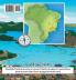 Roundy and Friends - Brazil
