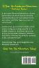 Diary of a Minecraft Zombie Book 4