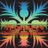 Hawaiian Quilt Coloring Book: 2 (Island Color)