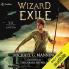 Wizard in Exile