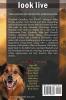 Look Live: Large Print (Caught Dead In Wyoming Book 5)