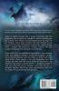 The Arrows of the Heart: 4 (Uncharted Realms)