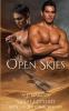Open Skies: 1 (Enforcers)