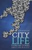 City Life:Everyday Stories About Life In A City