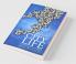 City Life:Everyday Stories About Life In A City